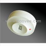 JTG-ZW-5i火焰探測(cè)器 工廠制造商