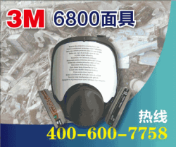 供应3M防毒面具|3M6800防毒面具