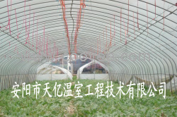 供應智能鋼管鍍塑大棚 鋼管鍍塑鋼架大棚骨架機 天億溫室工程