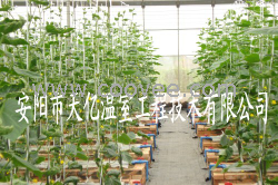 供應(yīng)復(fù)合材料養(yǎng)殖大棚 鋼架溫室大棚 天億