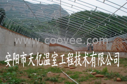 供應鋼架溫室大棚 天億溫室工程