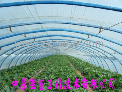 供應鋼管大棚 中原溫室工程