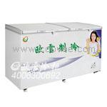 供應東莞低溫柜食堂專用冷柜臥式冷凍柜