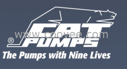 美国猫牌 猫牌泵CAT泵cat pump cat3531