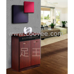 電子保健鞋柜批發(fā)/早蹈田/ZW511智能電/電子保健鞋柜批發(fā)