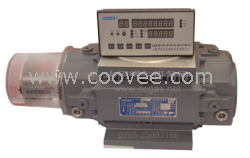 供應(yīng) 燃?xì)饬髁坑?jì)