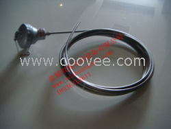 供應廠家供應WZP系列熱電阻