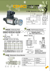 臺(tái)肯油壓開關(guān)TWOWAY DNM-250K-21B