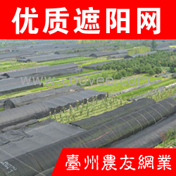 供应遮阳网