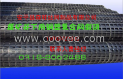 供應煤礦土工格柵