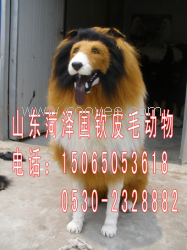 供應牧羊犬仿真模型仿真藏獒仿真狗仿真動物