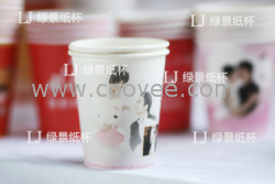 供应花都赤坭/炭步的企业形象纸杯制作，绿景纸杯厂