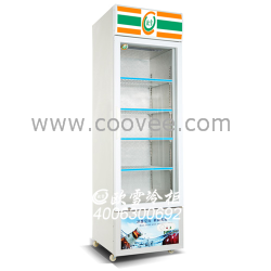 供應東莞市月餅冷柜月餅冷柜廠家