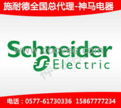 供應(yīng)施耐德PR 65r 65kA 3P 340V-電涌保護(hù)器PR 65r 65kA 3P 340V采