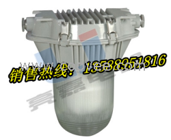 【WY210】【WY210】【WY210】【WY210】防眩泛光燈