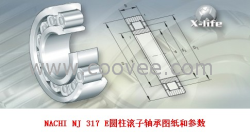 供應(yīng)SKF NUP 2219 EC軸承