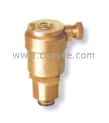 供應自動排氣閥