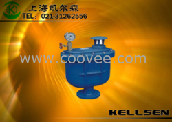 供应CARX复合式排气阀