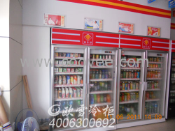 供應冷柜報價重慶連鎖店冷柜綠色節能冷柜