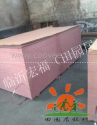 供應膠合板廠家家具板多層板包裝板門套板4