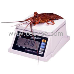 要經濟通用型的【無錫電子秤】無錫友星衡器品種其全,貨量充足,任您選購