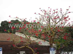 蘭州卷閘門 西藏保溫卷簾門〓0931—4679866甘肅中意