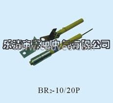 重庆销售BR2-10/20P,BR2-10/50P，电容器单台保护熔断器