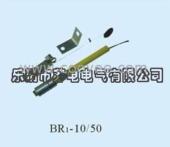 浙江BR1-10/50,BR1-10/100并联电力电容器保护熔断器