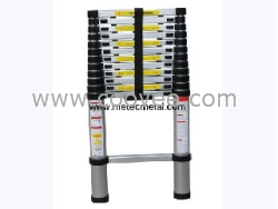 When you want to purchase telescopic ladder, we wi