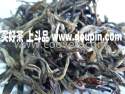 广州斗品普洱茶 2010早春白莺山古树普洱生茶  热卖！