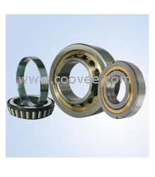 SKF  NNU4960B/WPW33K