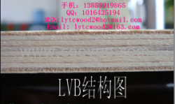 供應(yīng)雙面漂白楊木LVB膠合板