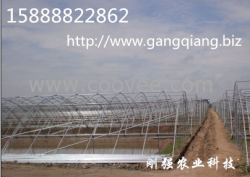 供应浙江台州单体钢管温室蔬菜大棚 GP725