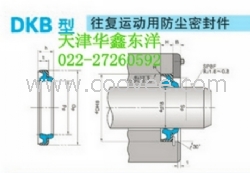 DKB往復(fù)運動防塵密封件AR3187G5