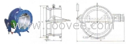 蝶式缓冲止回阀