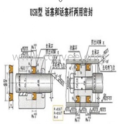 USH活塞活塞杆双用密封件-USH密封