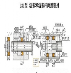 品牌专柜nokUSI活塞活塞杆两用密封圈