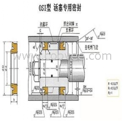 OSI活塞专用密封件-天津伊威井瑞OSI