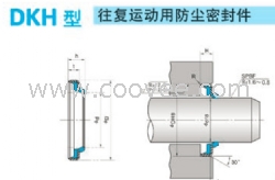 賣DSI/DKH防塵密封圈-天津伊威井瑞