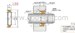 LBI往復運動防塵密封件-天津LBI國標