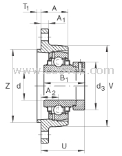 RCJTZ25