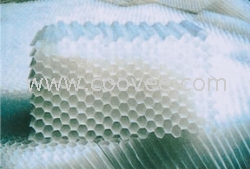 福建＝福州蜂窩斜管填料規格