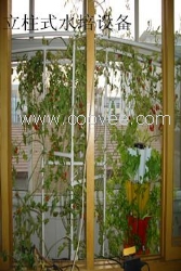 無土栽培設備讓你在自家陽臺開出一片菜園