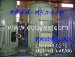 YVP315L1-4電機、控制柜（圖）