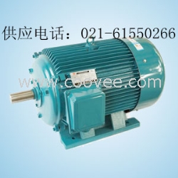Y315L2-6電動機132KW
