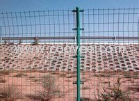 供應(yīng)現(xiàn)貨雙邊絲護(hù)欄網(wǎng)&mdash;德諾隆網(wǎng)業(yè)