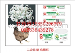 江蘇雞腳環(huán)生產(chǎn)商 二維碼溯源腳環(huán)廠家