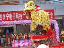 南寧龍獅隊(duì),南寧龍獅隊(duì),南寧舞獅隊(duì)，價(jià)低