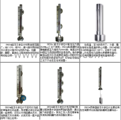 SWISA磁磁致伸縮液位計(jì)