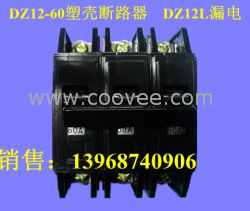 DZ12,DZ12塑壳断路器,DZ12L